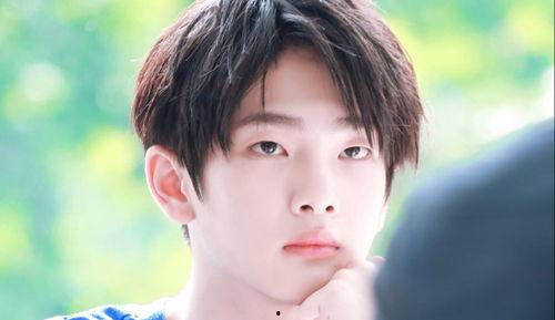 娱乐圈吃瓜酱qaq